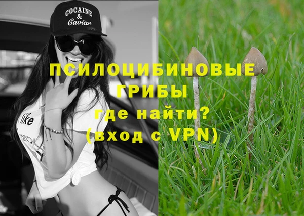 шишки Наволоки